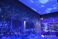Animated Images Clear Rear Holographic Projection Film For Music Concerts / Museum